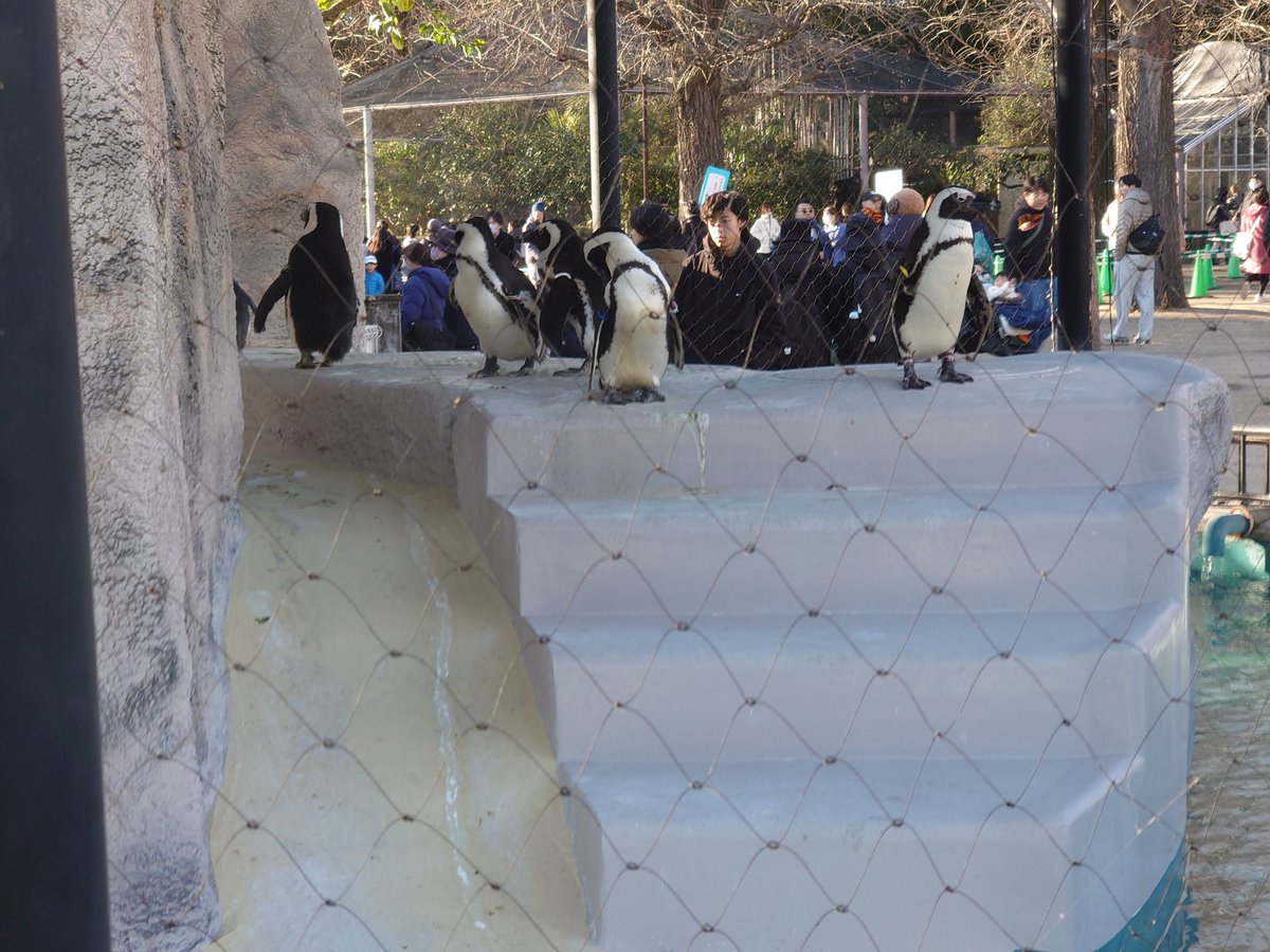 冬月 (@fuyutsuki7) / Posts / X