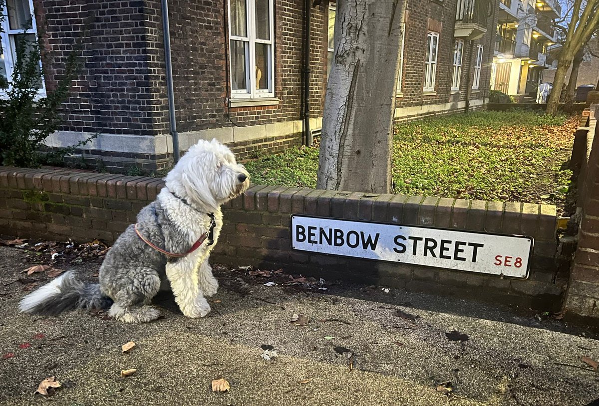 BennyBigPaws tweet media