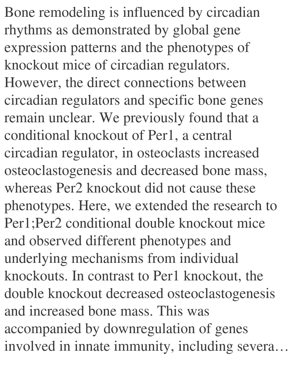 WFC's tweet image. Circadian regulators PER1 and PER2 regulate osteoclastogenesis by balancing competing activities of innate immunity genes

Katoku-Kikyo, N., Vu, E. K., Mitchell, S., Karkache, I. Y., Bradley, E. W., Kikyo, N.
biorxiv.org/content/10.648…
