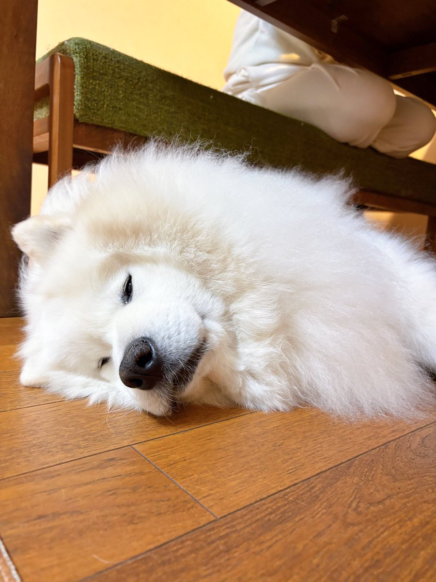 かんな•*¨*•.¸♬︎ カンナ (@kanna_1214___) • Instagram photos and videos