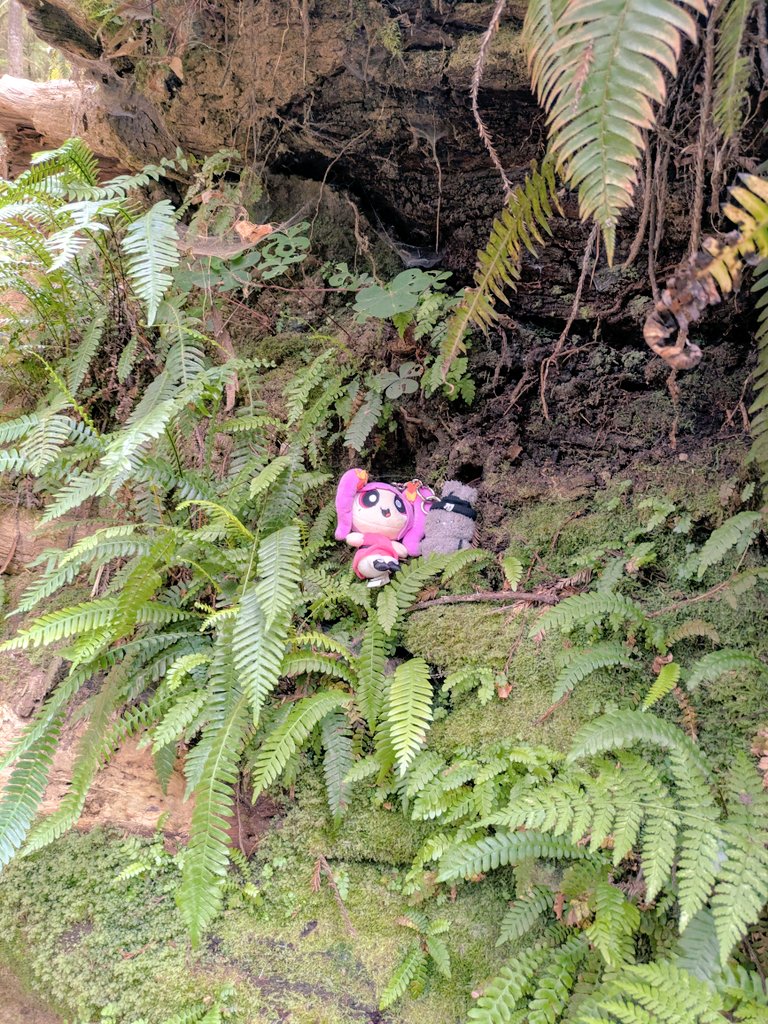 CAMOMI🌼 tweet media