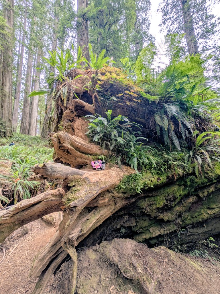 CAMOMI🌼 tweet media