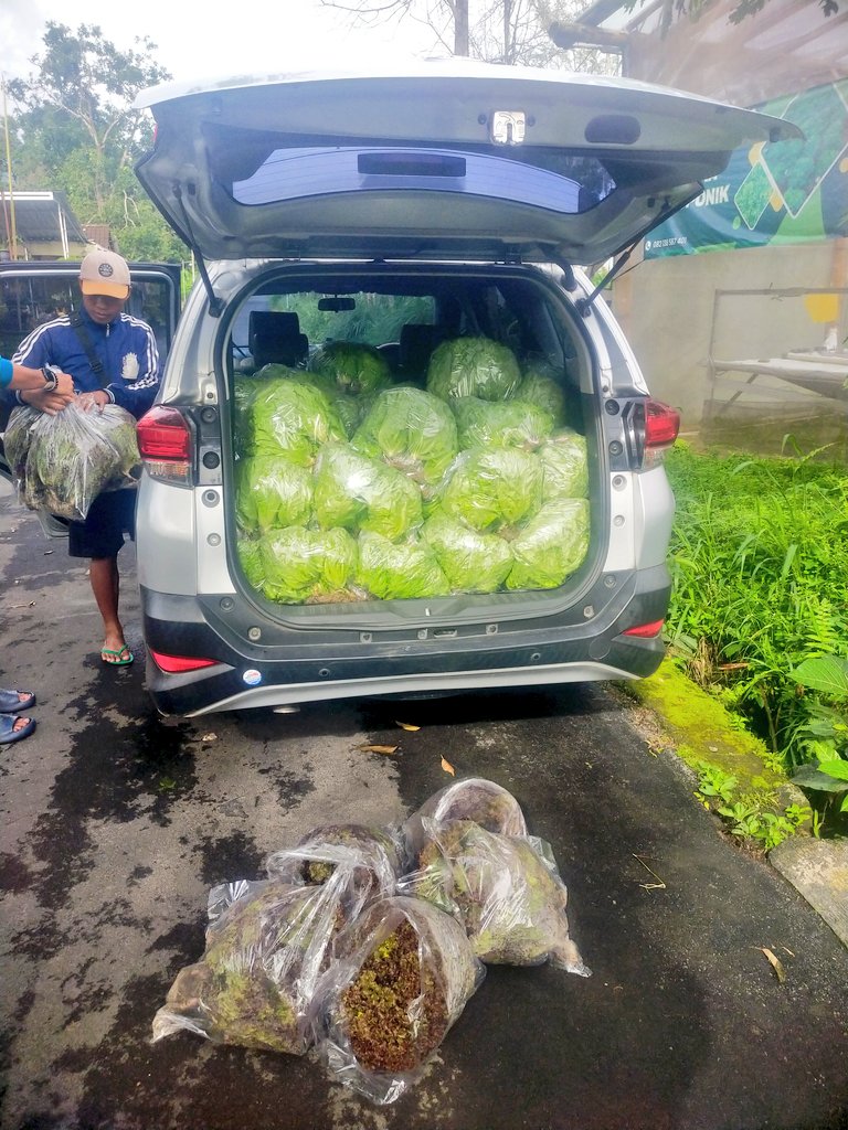 ydhtama's tweet image. Selama belum ada teknologi yang merubah batu atau plastik menjadi makanan, pertanian adalah salah satu bisnis menjanjikan.