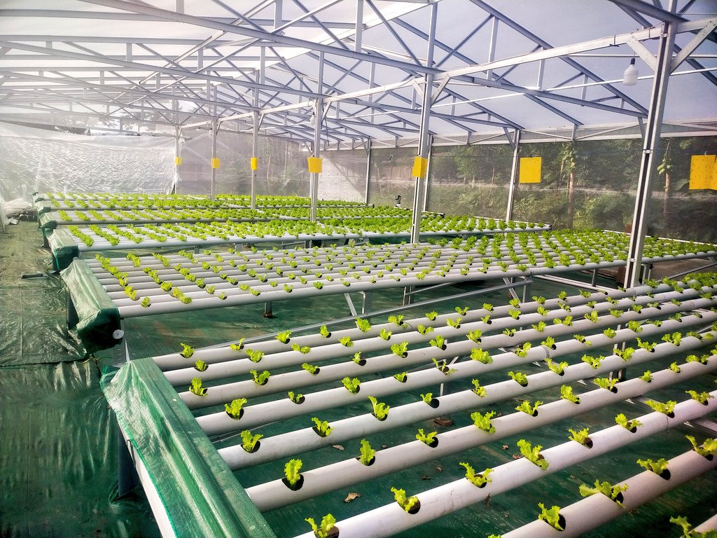 ydhtama's tweet image. Selama belum ada teknologi yang merubah batu atau plastik menjadi makanan, pertanian adalah salah satu bisnis menjanjikan.