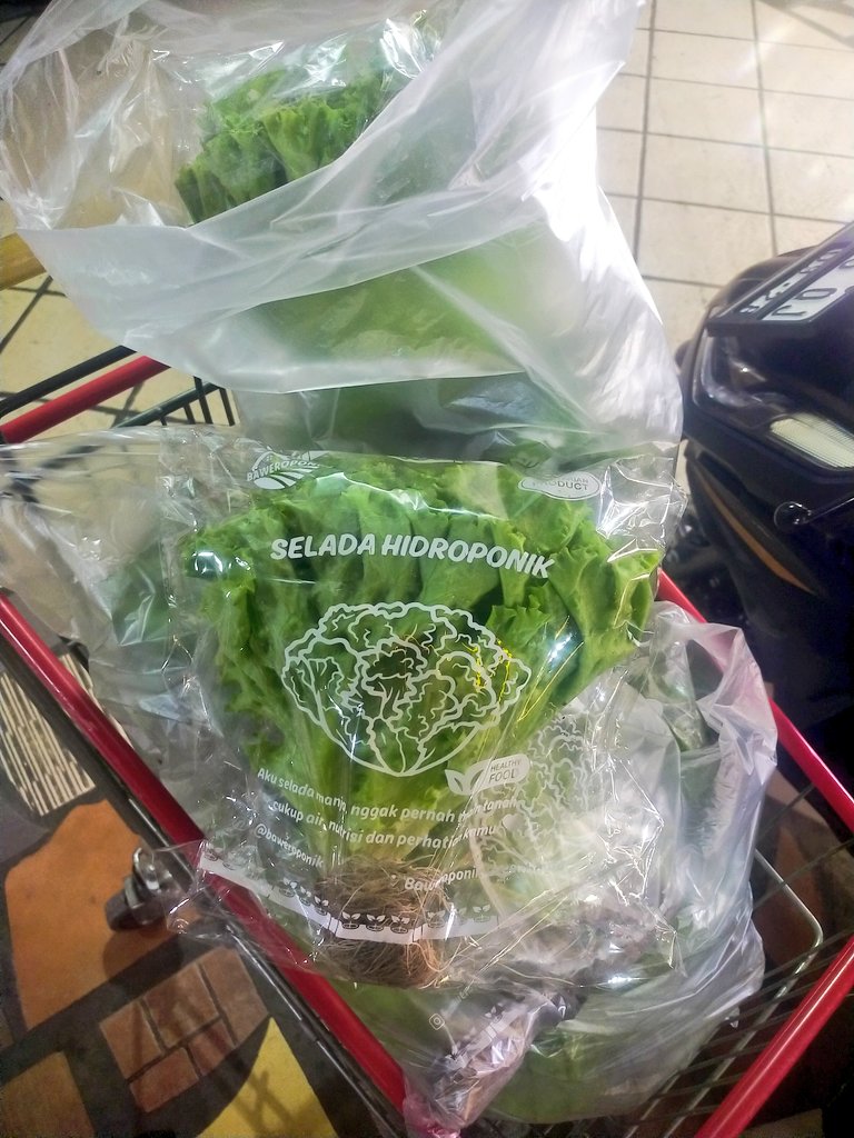 ydhtama's tweet image. Selama belum ada teknologi yang merubah batu atau plastik menjadi makanan, pertanian adalah salah satu bisnis menjanjikan.