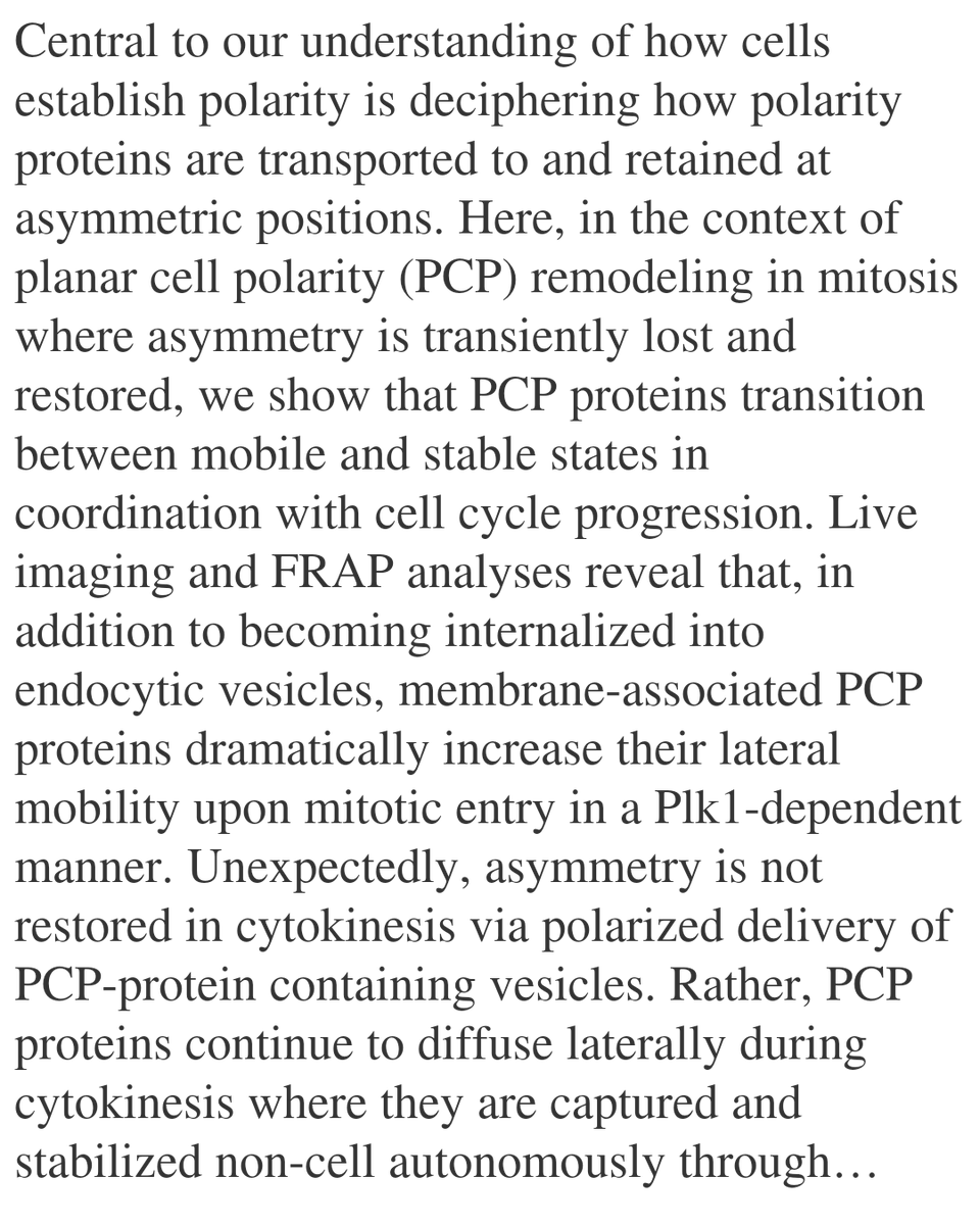 WFC's tweet image. Cell cycle-dependent transitions in PCP protein mobility erase and restore planar cell polarity in mitosis

Devenport, D., Ouyang, D., Basta, L. P., Sil, P., Joyce, B. W., Posfai, E.
biorxiv.org/content/10.648…