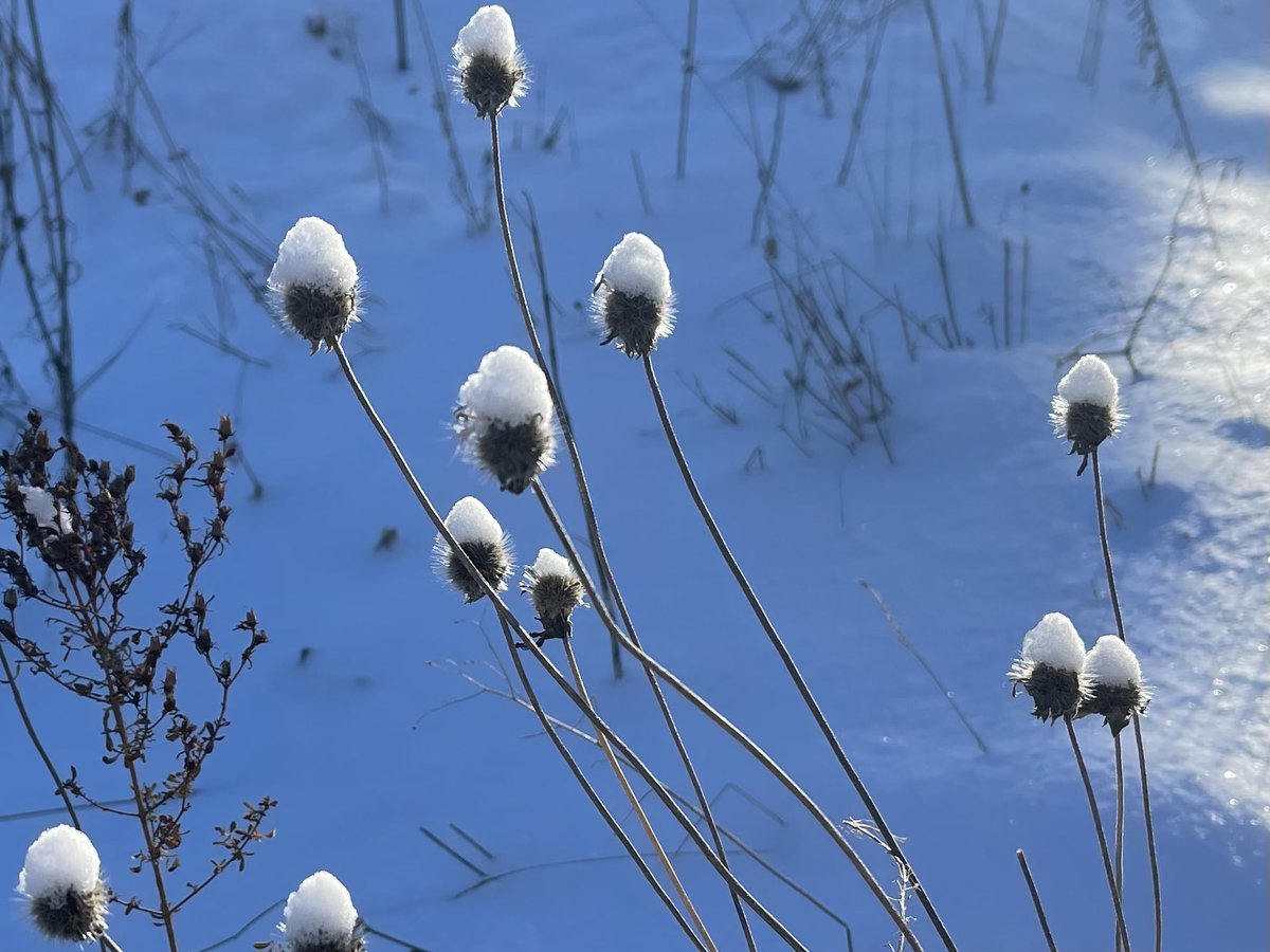 Ian Black tweet media