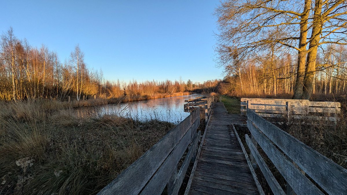 📍 Vue du Grand Marais de #Liesse 

#Paysdelaon #Aisne #hautsdefrance #picardie #patrimoine #patrimoinenaturel #maraisdelasouche #CENHDF #hiver #parmontsetmerveilles #jeudiphoto