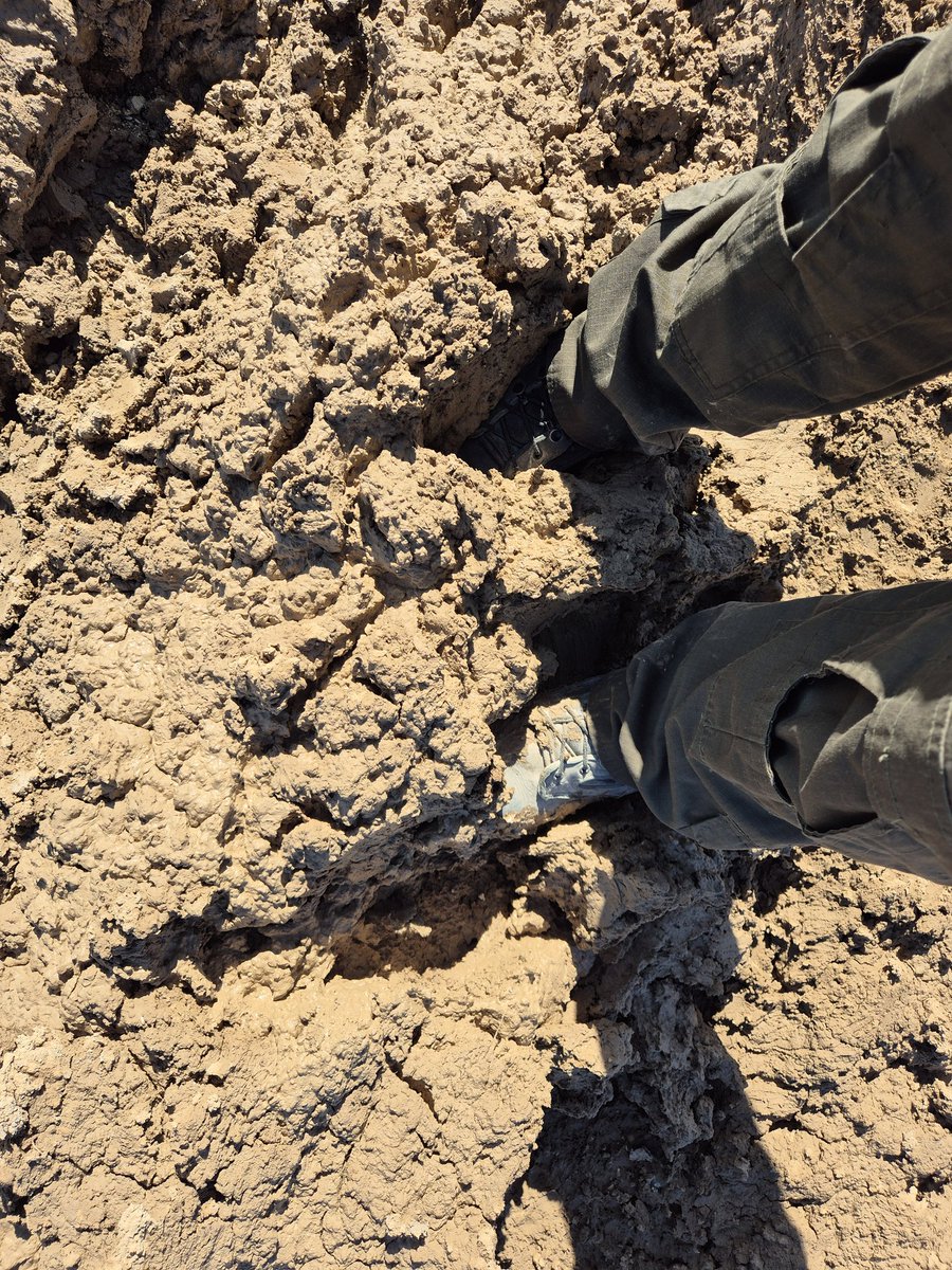 yes_no_maby_yes's tweet image. מהמר שגם הפעם תמונה גנרית של נעליים בבוץ של עזה שצילמתי הרגע תעשה לכם ראטיו.
חבורת בזויים ומופקרים שכמותכם!