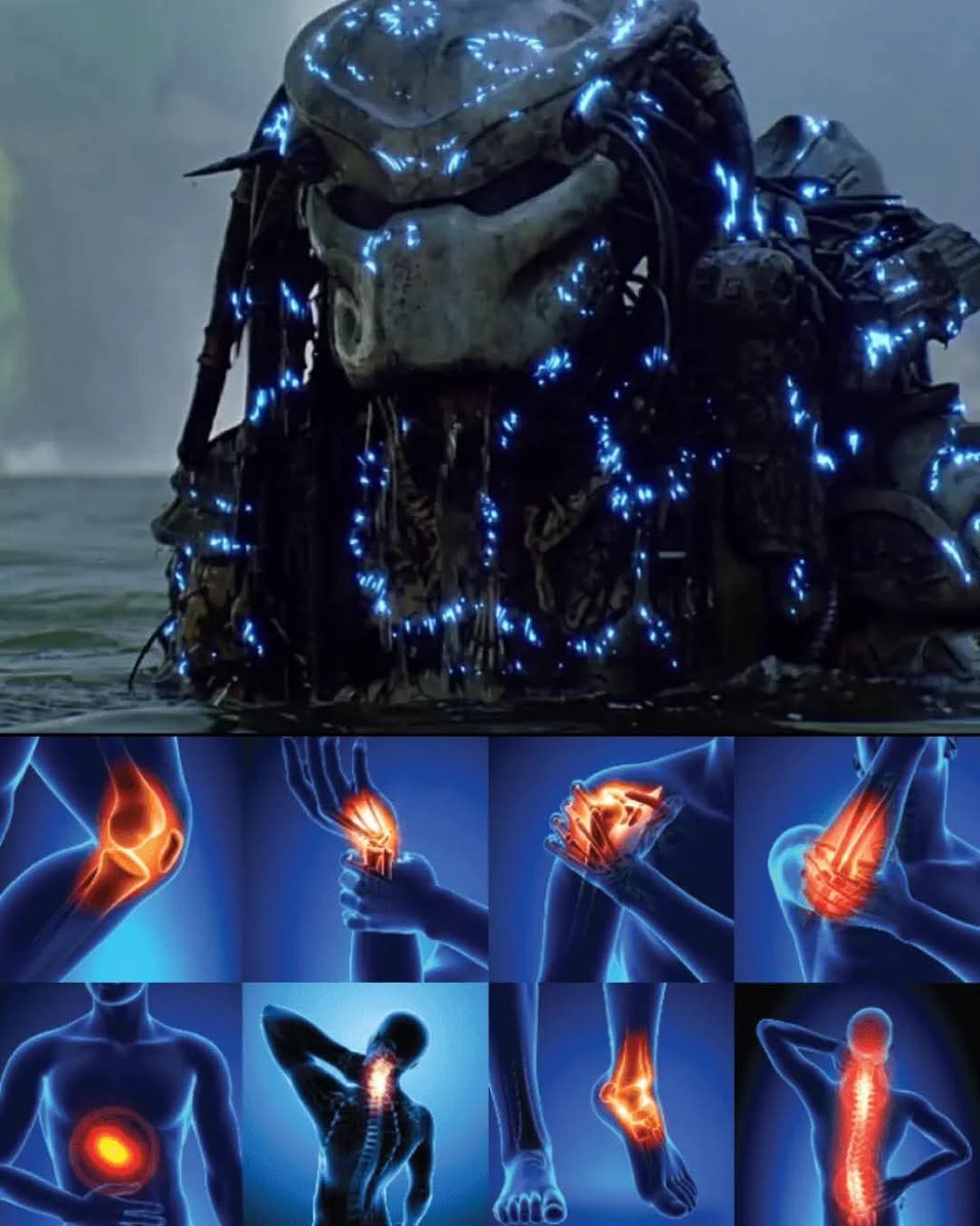 RetroMoviesDB's tweet image. How the Predator sees me