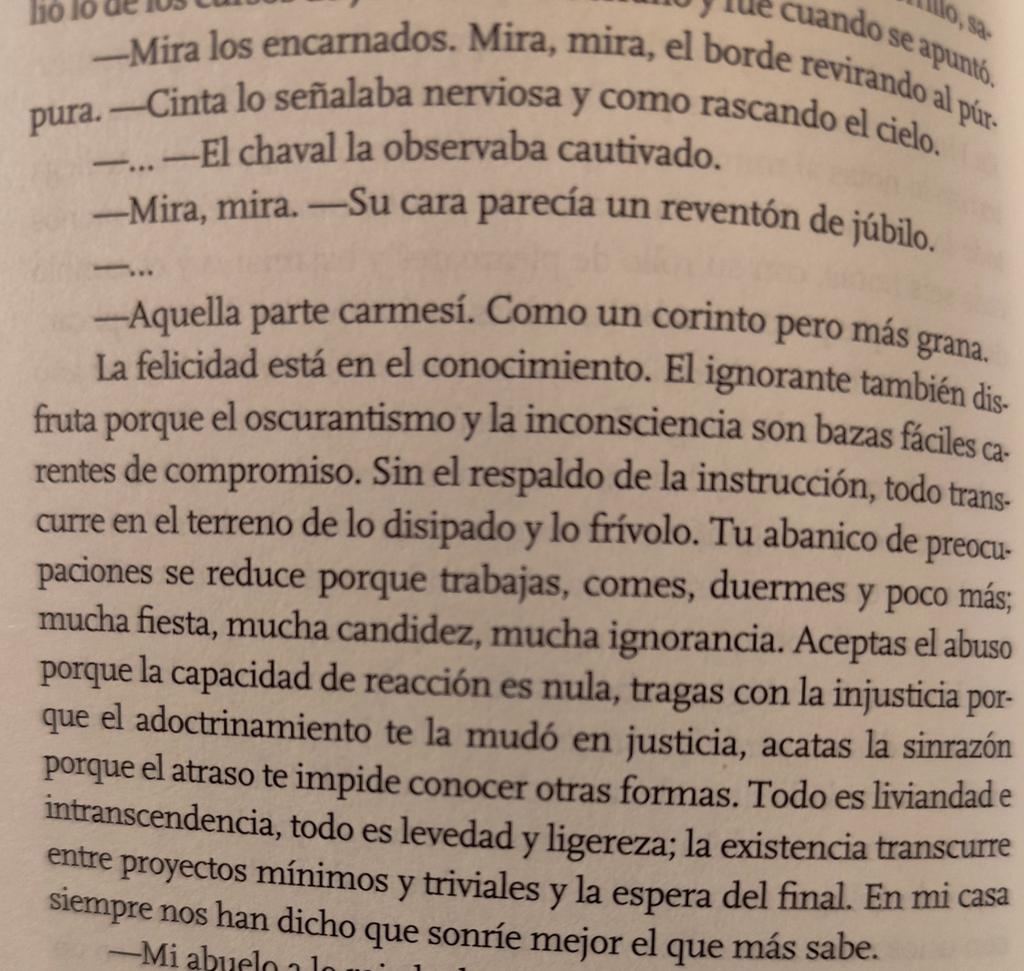 Manuel G. Mairena tweet media