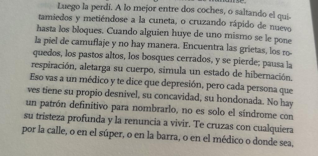 Manuel G. Mairena tweet media