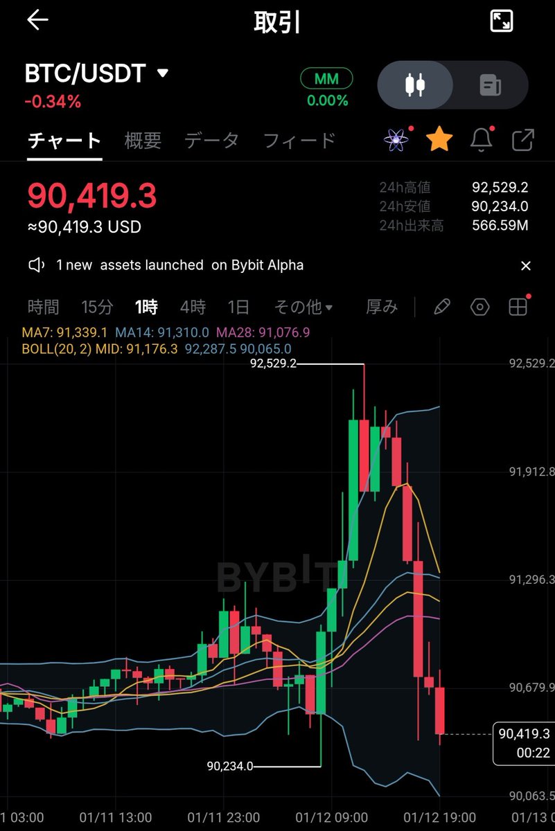 結局これが俺たちのビットコイン🥲