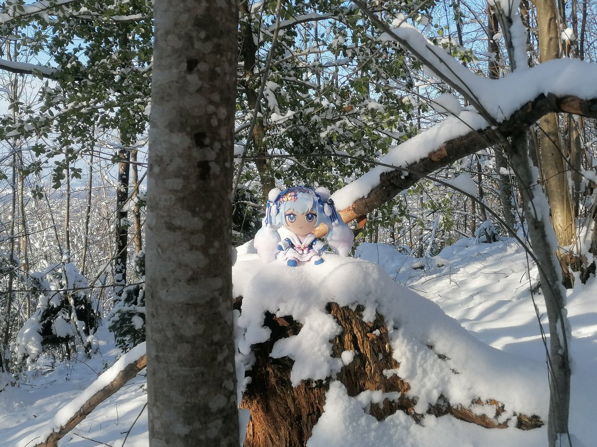 StefanPruner's tweet photo. 快い散歩に行って来た。
楽しかった。
#雪ミク 
#ぬいぐるみの時間 https://t.co/FAoG5wHPqo