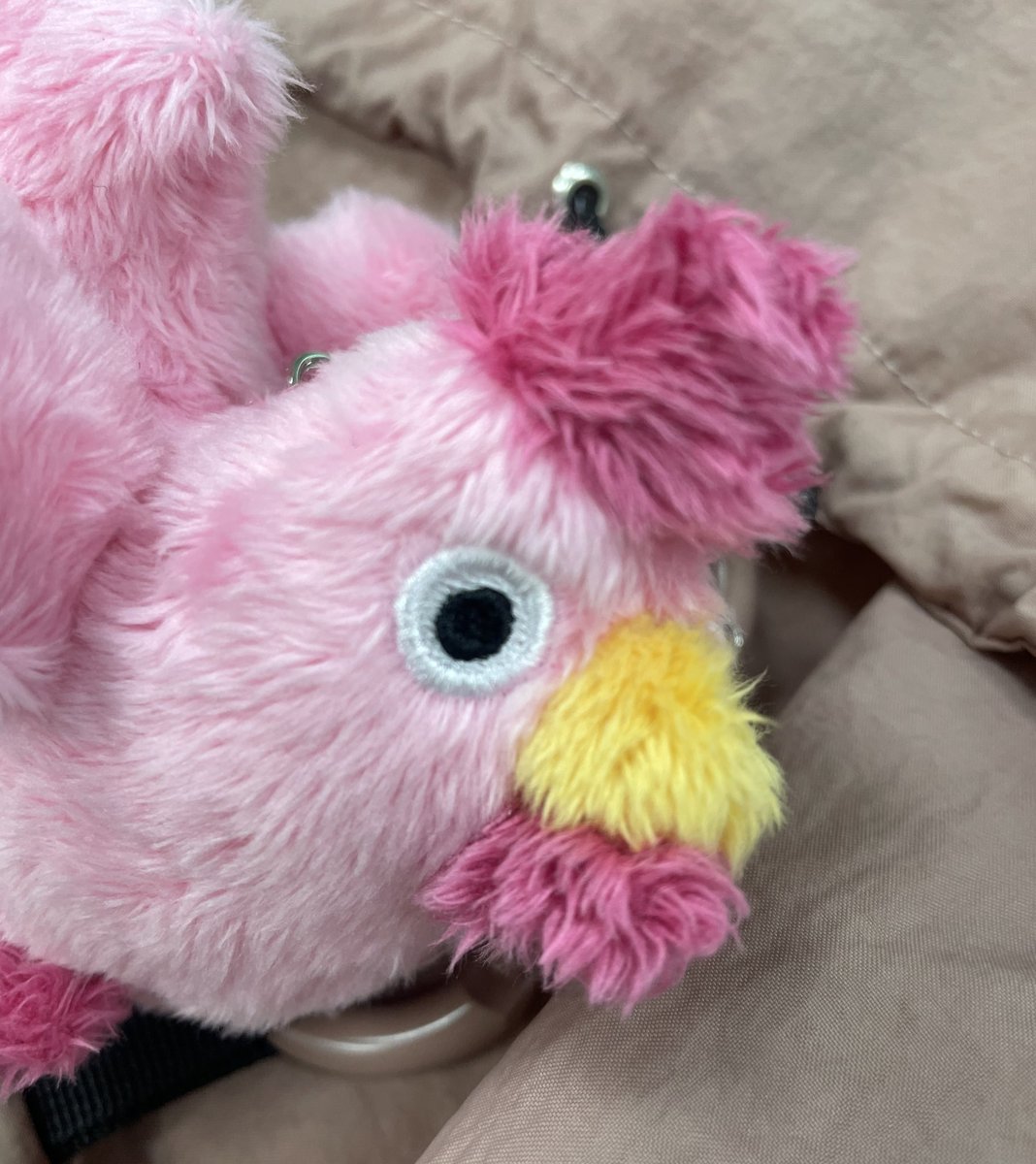 세상 밖을 처음 나와 두려움에 떨고 있는 핑닭