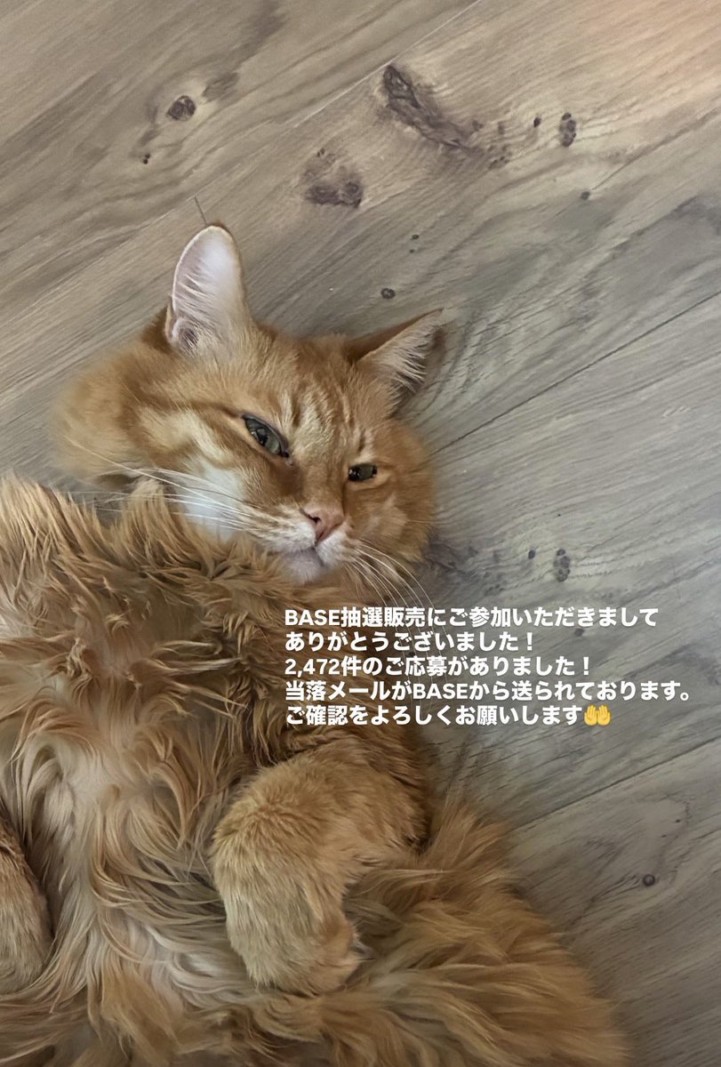 うちの子のけだまだま (@kedamastudio) / Posts / X