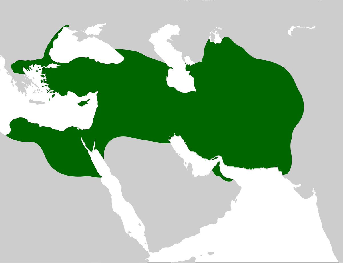 Stats Globe tweet media