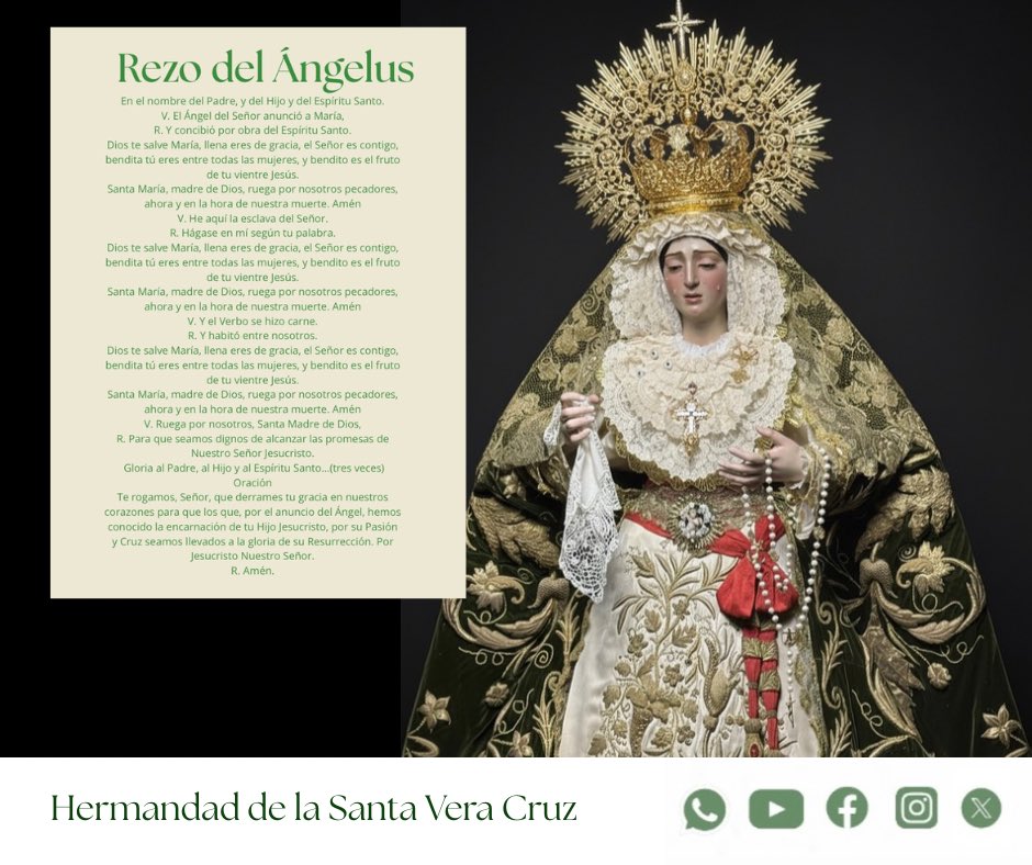 VeraCruzMarch's tweet photo. Rezo del Ángelus 

⏰ 12:00 horas 

🙏🏻 Oremos a la Santísima Virgen María, Madre del Señor y de la Iglesia. https://t.co/uORTNzZhSm