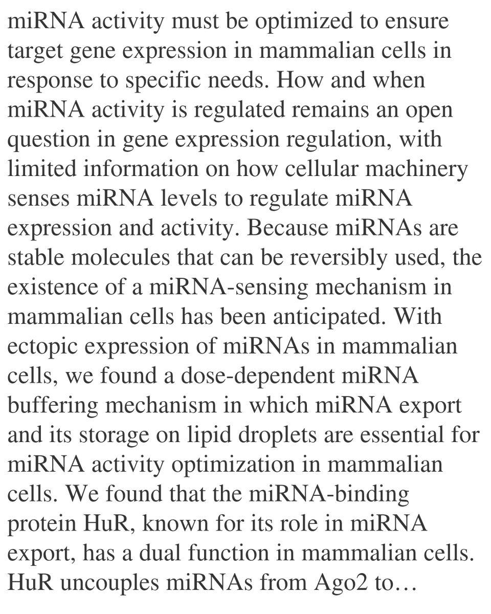 WFC's tweet image. miRNA Sensor HuR Compartmentalizes Ago2-Uncoupled miRNAs to Lipid Droplets to Buffer miRNA Activity in Mammalian Cells

Chakraborty, S., Bandyopadhyay, D., Mukherjee, K., Bhattacharyya, S. N.
biorxiv.org/content/10.648…
