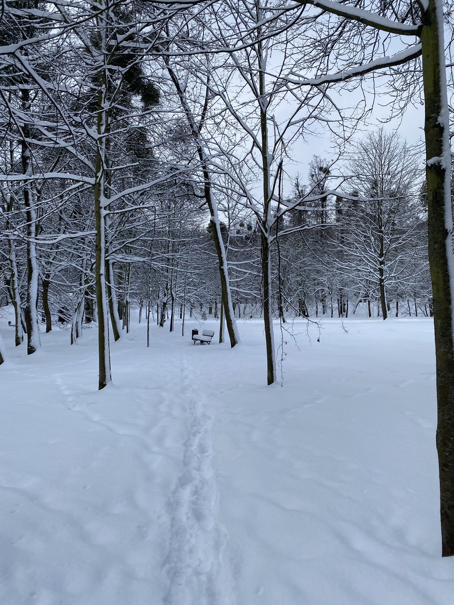 Zeed (women lover) tweet media