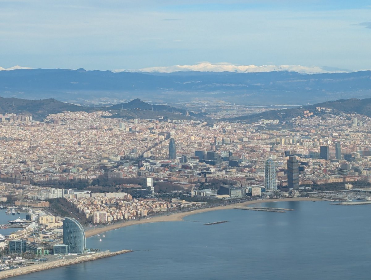 David TV tweet media