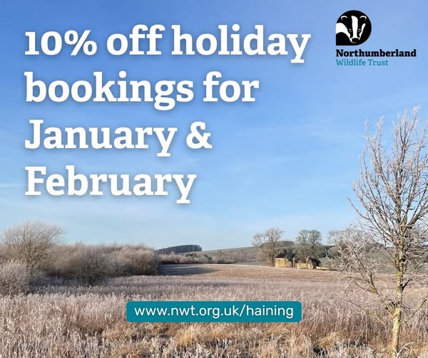 NorthWildlife's tweet photo. Looking to escape to a cottage in the Northumberland countryside for a cosy winter getaway?

We've added a 10% discount to January/February bookings at The Haining!

Find out more at https://t.co/FcolqPxxOU https://t.co/fxD5YM8az5