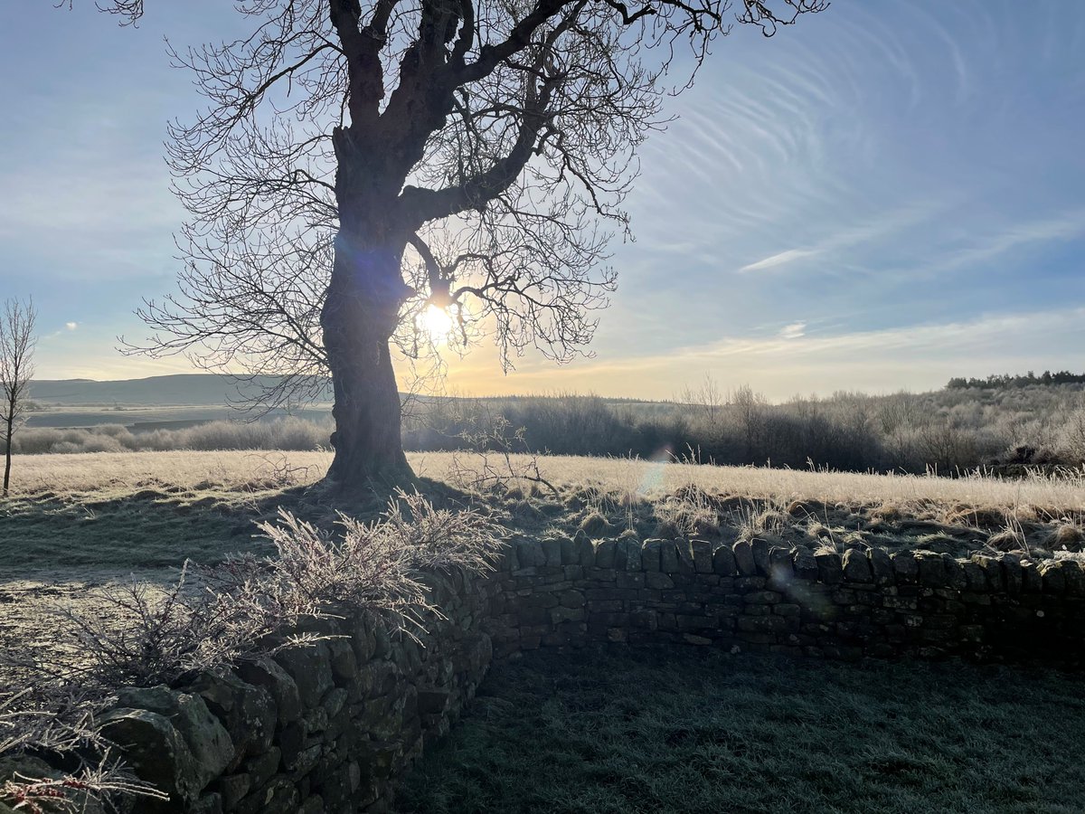 NorthWildlife's tweet photo. Looking to escape to a cottage in the Northumberland countryside for a cosy winter getaway?

We've added a 10% discount to January/February bookings at The Haining!

Find out more at https://t.co/FcolqPxxOU https://t.co/fxD5YM8az5