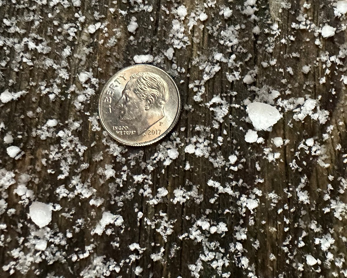 Wonder Pixels tweet media