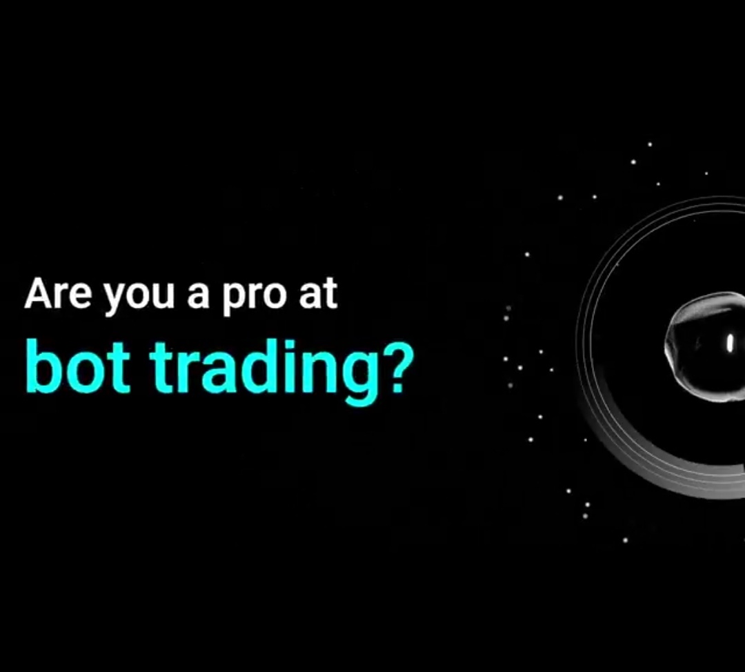 abbatygarba51's tweet image. @_Ummulkhair_
@Aj_Pablo_
@Ekitipikin

#BitgetBotCopyTrading