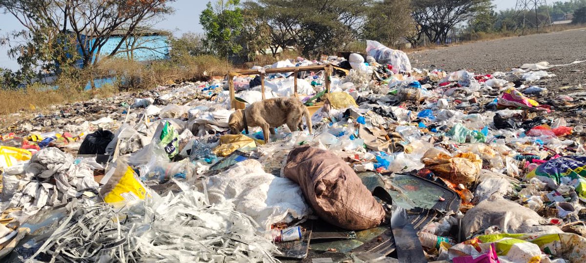 allaboutbelgaum's tweet photo. Once an RTO test track at Auto Nagar, this ground has been reduced to an open garbage dump after the RTO shifted to Kanbargi. Plastic waste everywhere, stray animals feeding on trash. A clear case of civic neglect. #Belagavi #AutoNagar #WasteManagement #UrbanNeglect https://t.co/zrsSdsnBDS