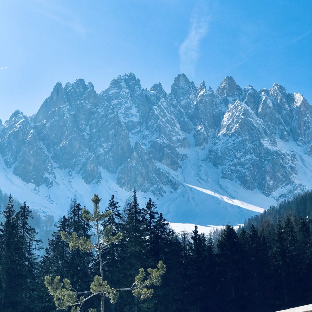 odilelly's tweet photo. I Baranci. #Innichen #SanCandido https://t.co/k2PqlPKmuM