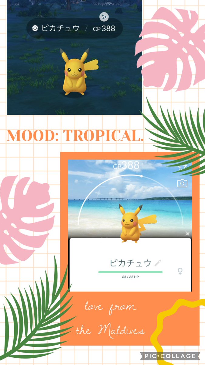 ぺんたっち🪸🍓 tweet media