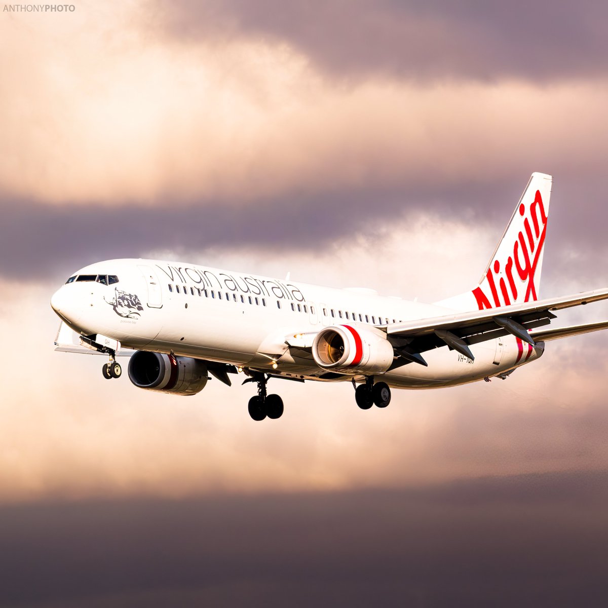AnthCellin85014's tweet photo. ❤️ VOZ @virginaustralia arriving in beautiful sunset lighting, into @melbourneairportau
—————————————————
Airline: Virgin Australia (VOZ-VA)
Model: Boeing 737-8FE (B738)
Call Sign: VA1042
Flight Number: VOZ1042
Registration: VH-YQH
————————————————— 
#Virginaustralia #melbourne https://t.co/DqhgxZSRzQ
