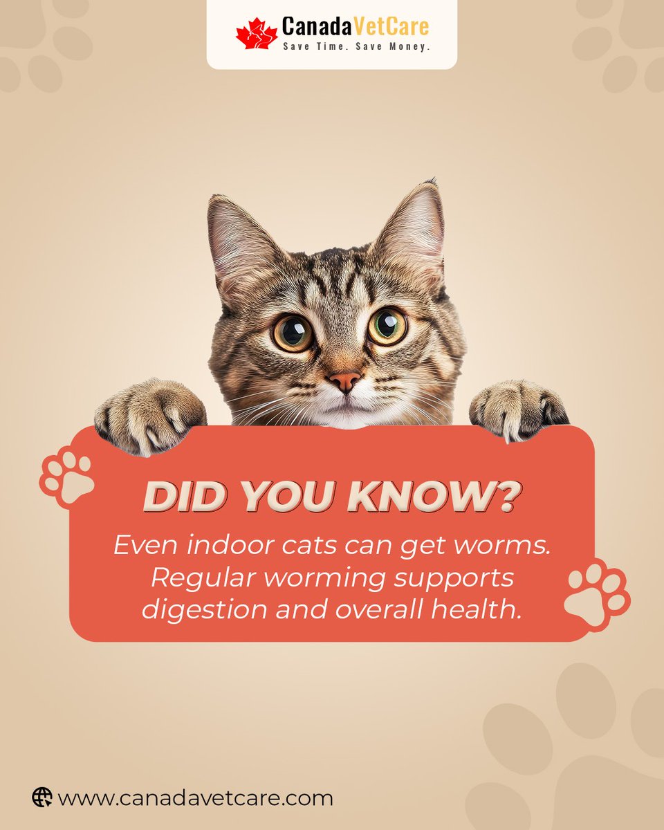 CanadaVetCare's tweet image. Surprising but true—even indoor cats can get worms! Routine deworming keeps their digestion healthy and supports overall health.

Click to Save on Cat Deworming: canadavetcare.com/cat-wormers-tr…

#CatHealthMatters #dewormingforhealth #catlovers