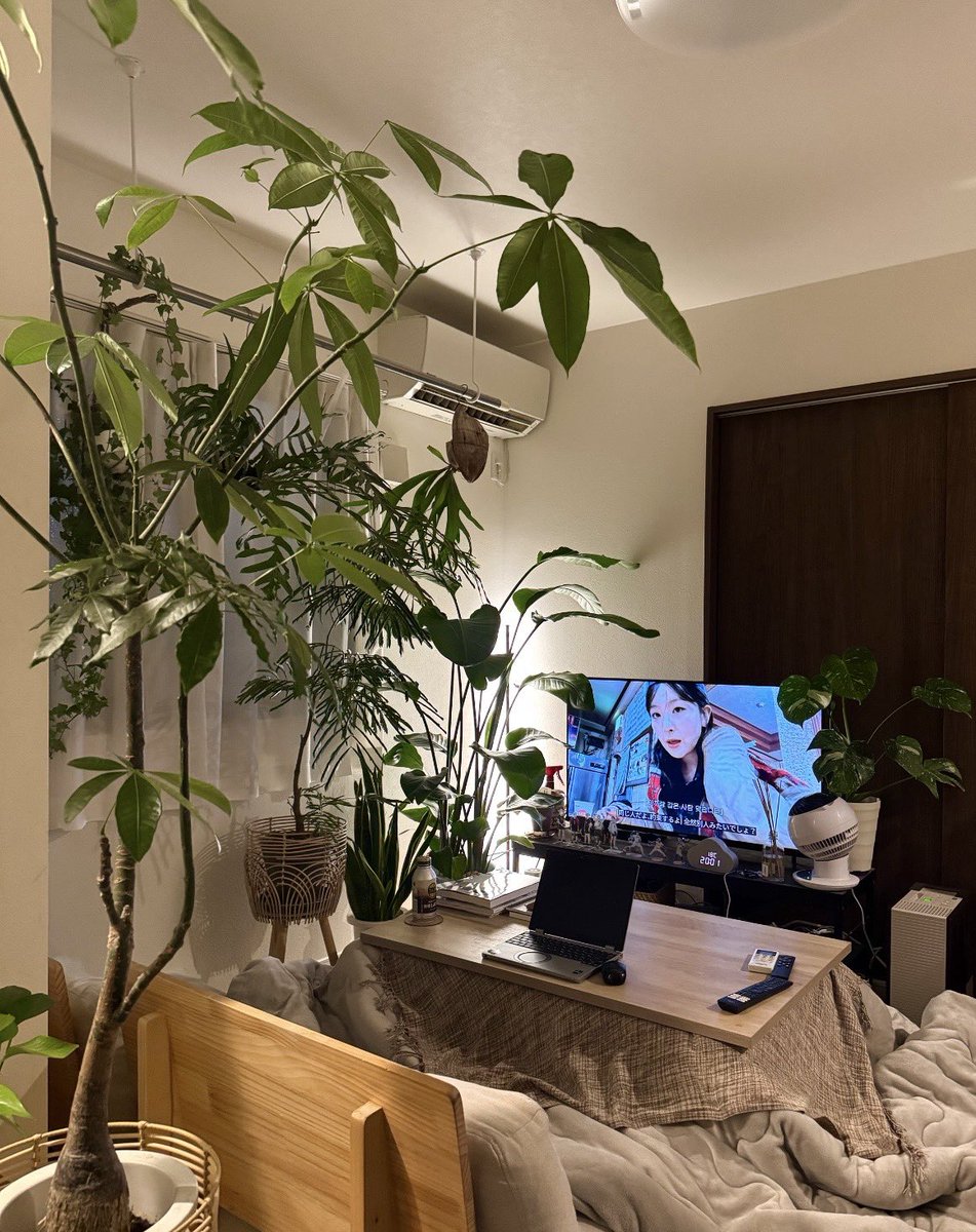 与謝野 tweet media