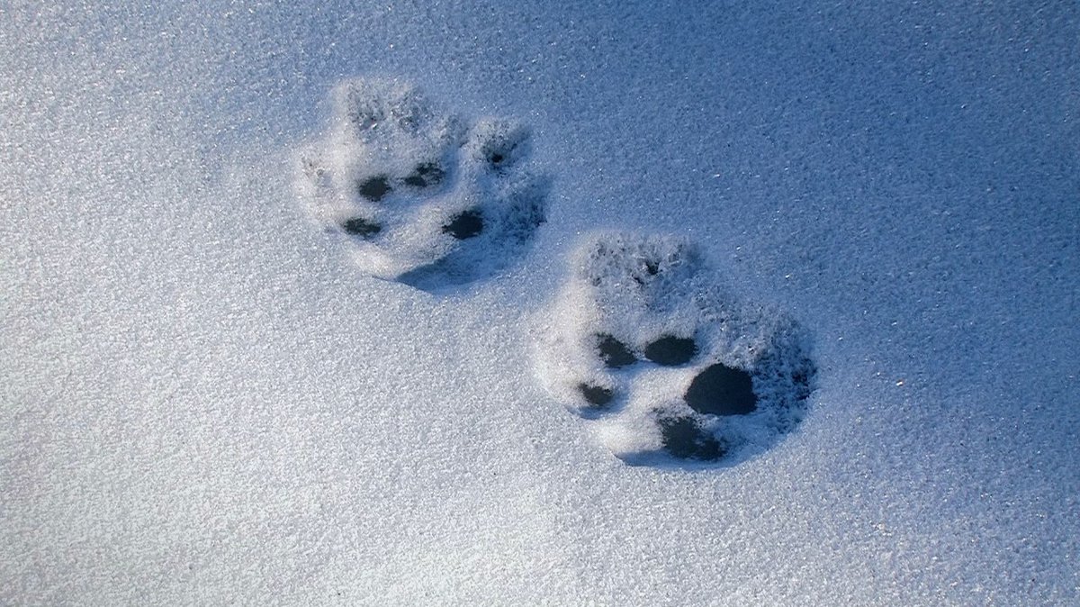 Tracks ow.ly/KRK9106sY1C