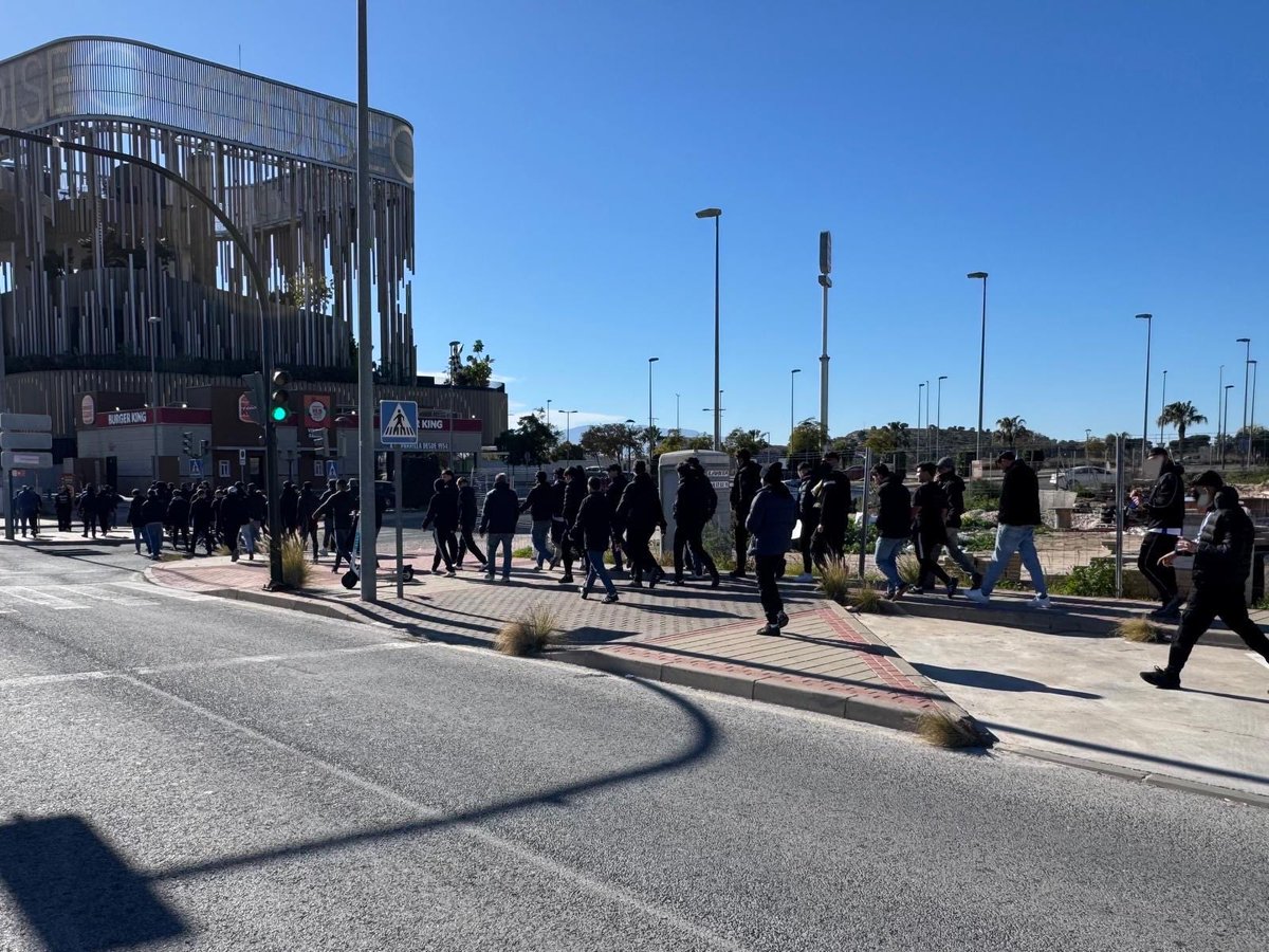 Curva Sur Hércules tweet media