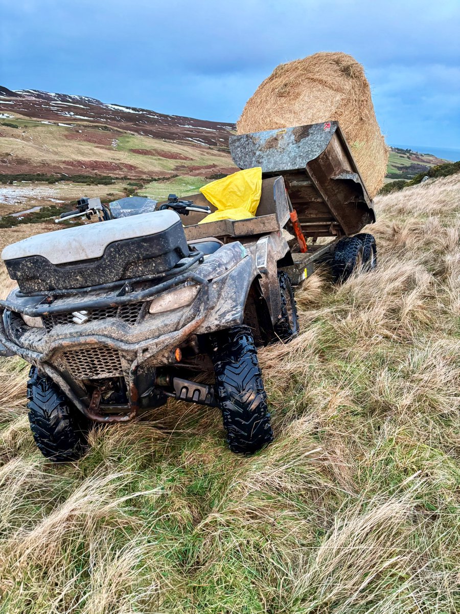 Joyce Campbell tweet media