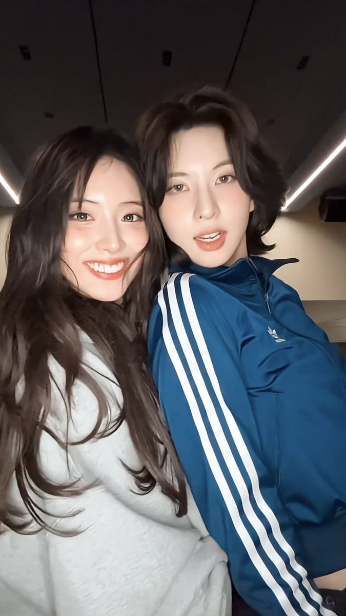 뵹 tweet media
