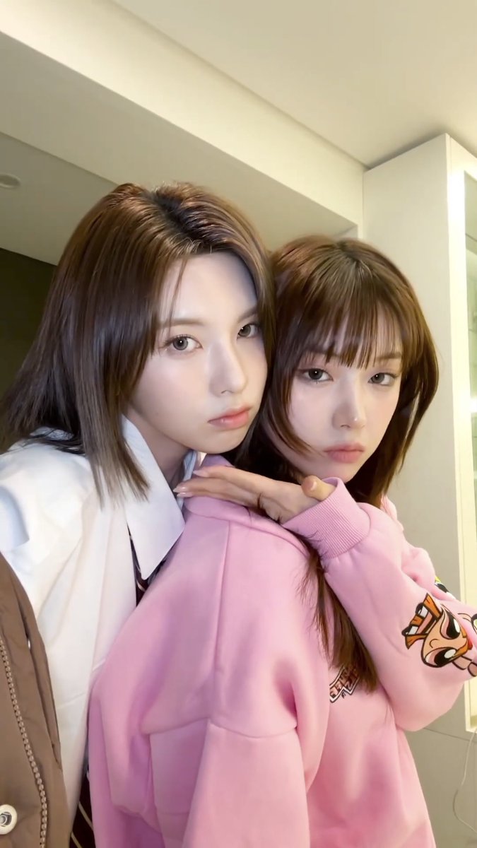 뵹 tweet media