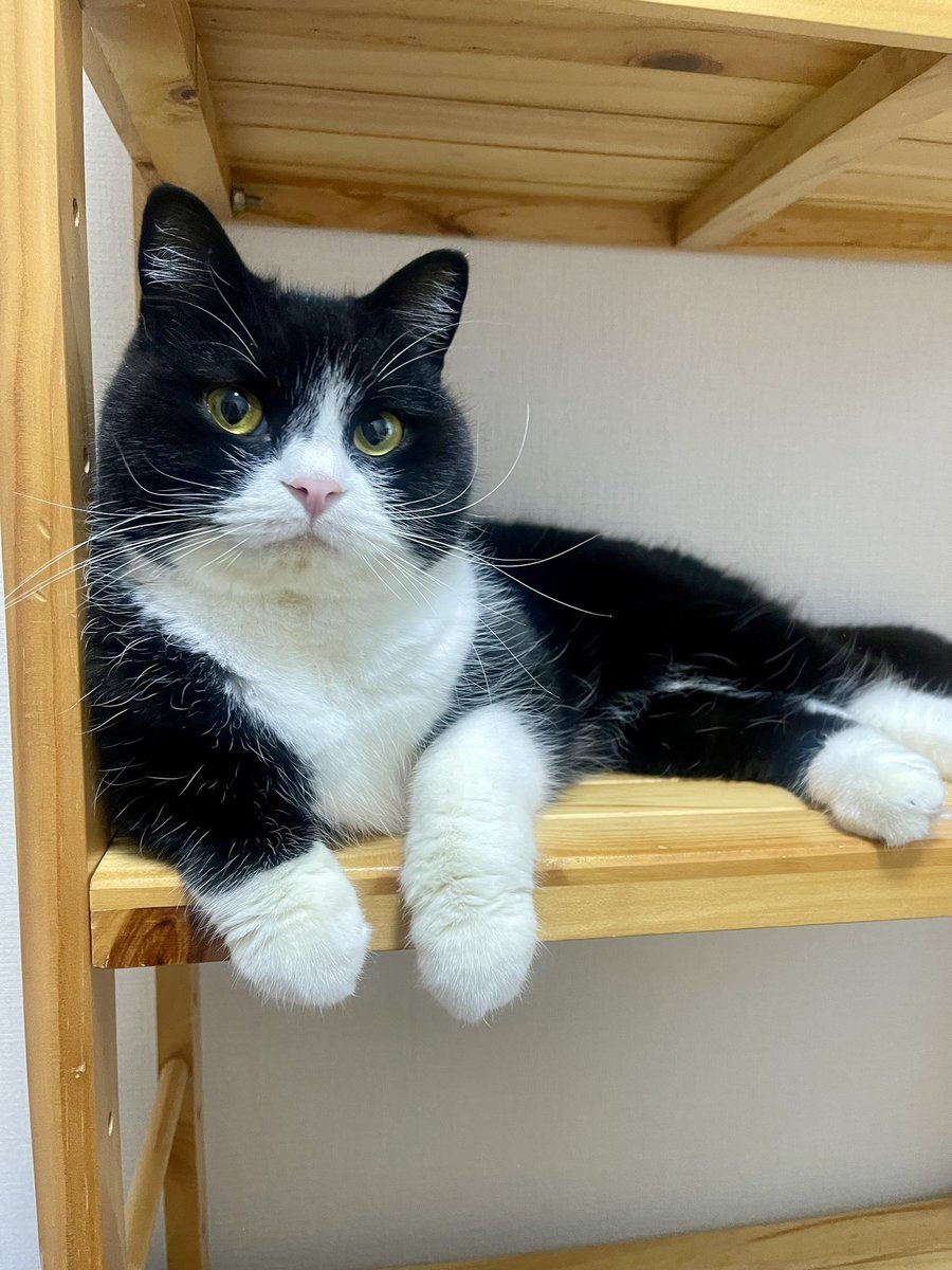 たろう (@taro20216) / Posts / X