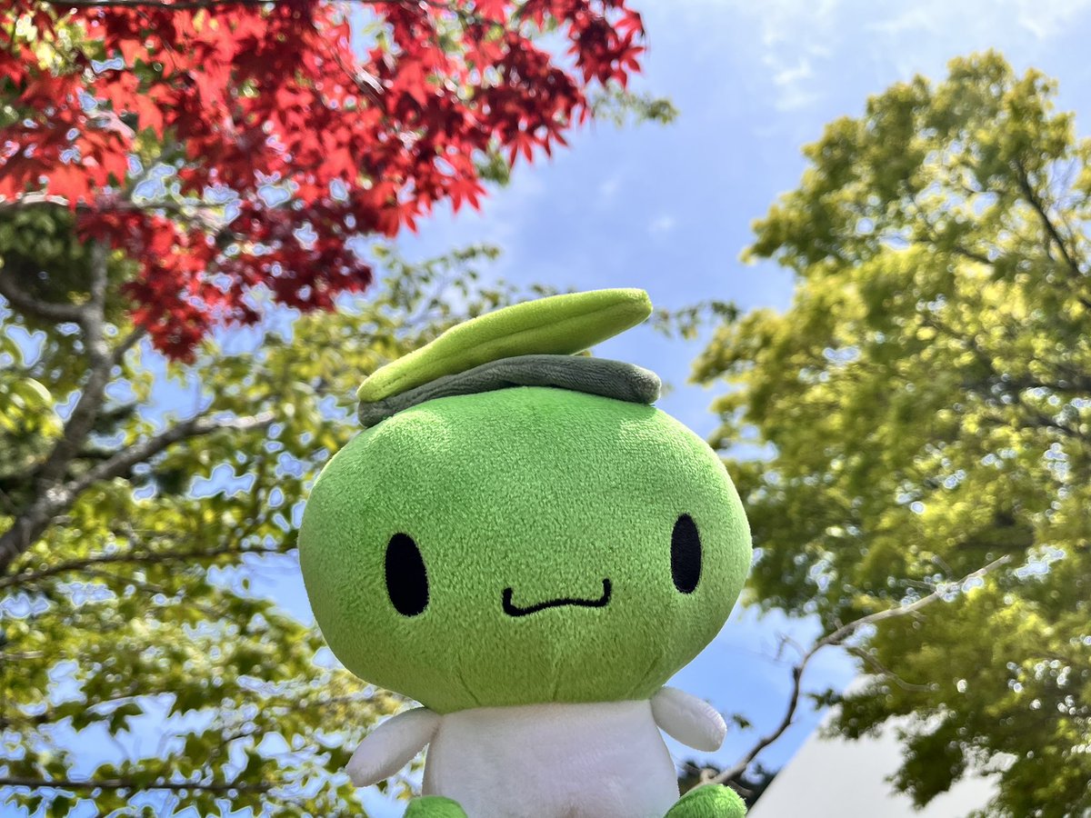 オリーブ シマ様 香川県小豆島のキャラクター「オリーブしまちゃん」公式サイト