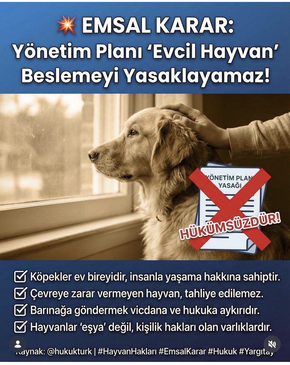 #SokakHayvanlarıSahipsizDeğil