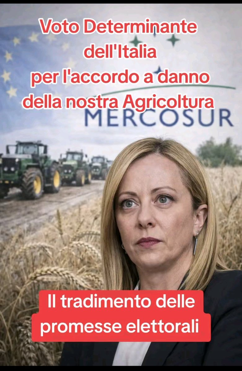 ilgallico50Ac's tweet image. Bhe #difficile commentare, non c'è molto da dire. Anche gli agricoltori sono stati tradìti da Giorgia Meloni.

Spero che almeno i funboy fozza gioggia, tanto sovranisti, si rendano conto del danno immenso.
#Mercosur