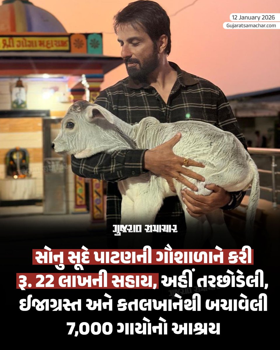 gujratsamachar's tweet photo. Bollywood Actor Sonu Sood: અભિનેતા સોનુ સૂદે હવે ગૌસેવાનું પણ ઉમદા ઉદાહરણ પૂરું પાડ્યું છે. સોનુ સુદે ગુજરાતના પાટણ જિલ્લાના વારાહી ગામની ગૌશાળાને રૂ. 22 લાખની આર્થિક સહાય કરી છે. આ ગૌશાળામાં લગભગ 7000 જેટલી ગાયોનું પાલન-પોષણ કરવામાં આવે છે, જેમાં મુખ્યત્વે તરછોડાયેલી, ઈજાગ્રસ્ત અને કતલખાનેથી બચાવેલી ગાયો સામેલ છે. આટલી મોટી સંખ્યામાં ગાયોની સંભાળ રાખવા માટે સતત સંસાધનોની જરૂરિયાત રહેતી હોવાથી સોનુ સૂદે આ મદદનો હાથ લંબાવ્યો છે.
આ પ્રસંગે સોનુ સૂદે જણાવ્યું હતું કે, ગૌશાળાની આ સફર જે થોડી ઘણી ગાયોથી શરૂ થઈ હતી અને આજે સાત હજાર સુધી પહોંચી છે. આ ખૂબ જ ગર્વની વાત છે. અહીં ગાયોનું સંરક્ષણ અને જાળવણી ઉત્તમ રીતે કરાય છે. આ મોડેલ તો આખા ભારતમાં લાગુ કરવું જોઈએ.

#ActorSonuSood #Gujarat #Patan #Gaushala #Donation #Cow #Gscard #Gujaratsamachar