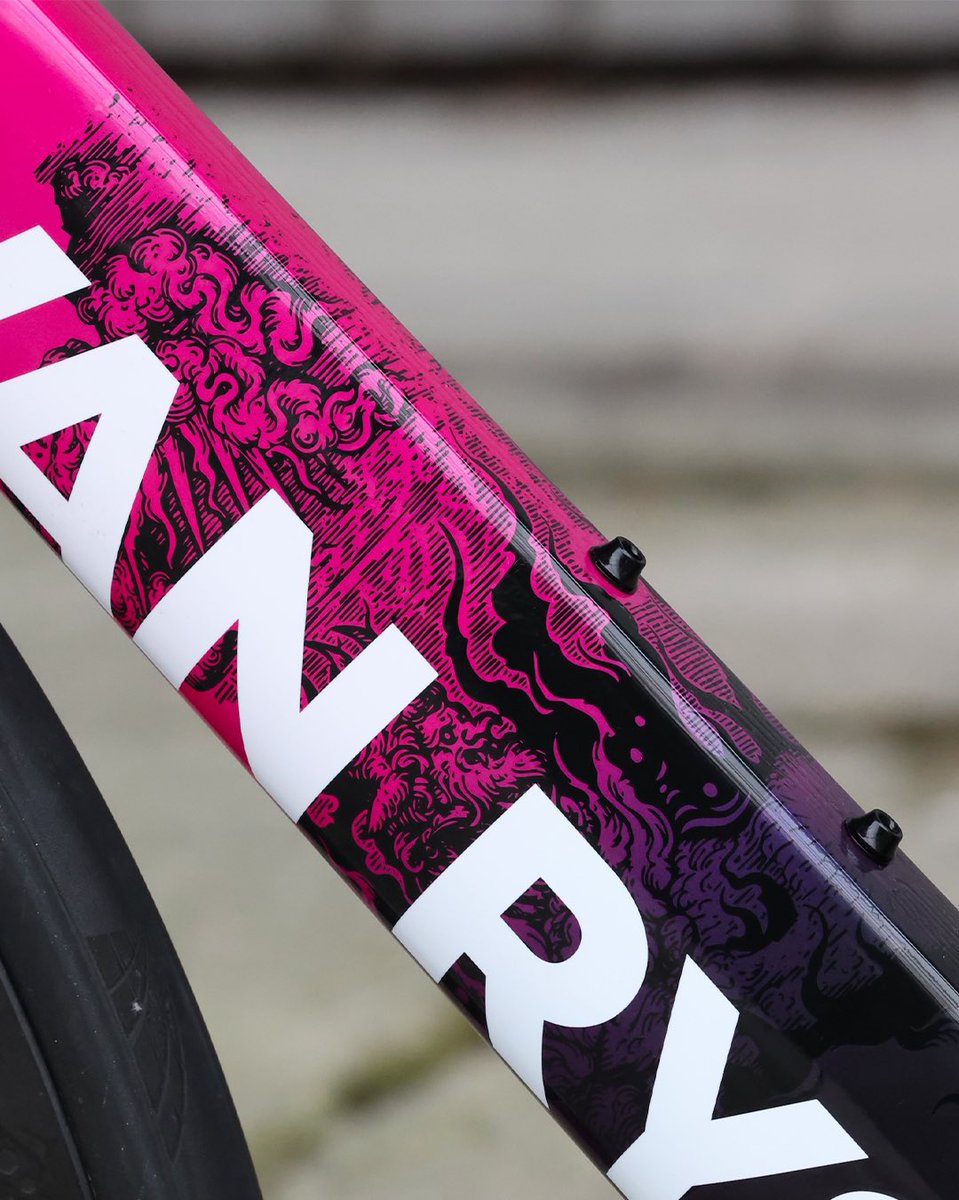 VAN RYSEL - ROUBAIX tweet media