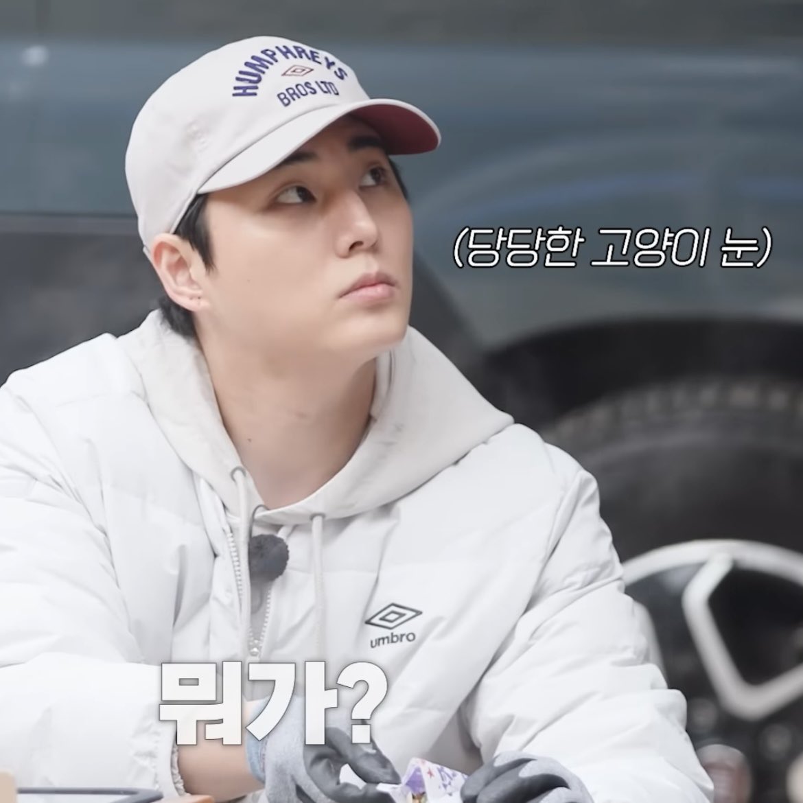 띵띵 불어버린 한강라면 위로
고양이가 걸어갑니다.🐱🐱🐈🐈