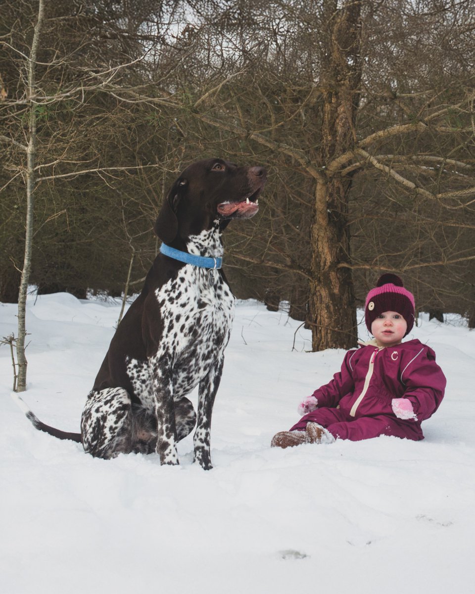 hippychick_com's tweet photo. From first snowfalls to winter walks ❄️⁠ ⁠ The Hippychick fleece-lined suit offers warmth, comfort and protection for babies and toddlers in cold, snowy weather.⁠ ⁠ 

#Hippychick #WorldSnowDay #Snow #FirstSnow #AllinOne #OutdoorPlay #SnowDays https://t.co/VUyjd15hHC