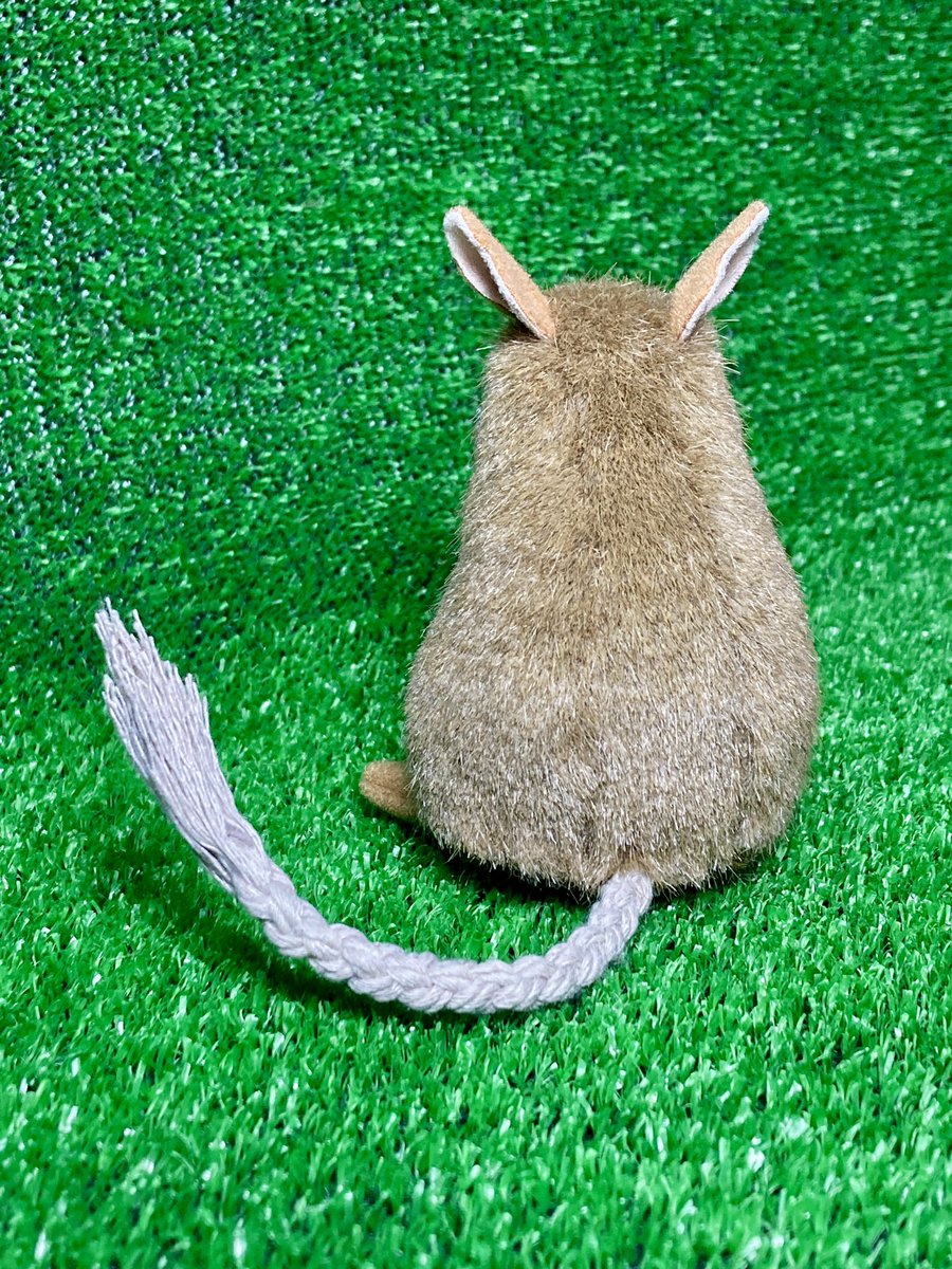 ローデンツ東京で販売予定の『健康なデグーたち』の第一号が完成しました👏
デグー界の三十三間堂を目指しているので(※似た顔が見つかるの意)当日はもっと数が増えてわちゃわちゃしていると思います！
是非見に来てください🐭