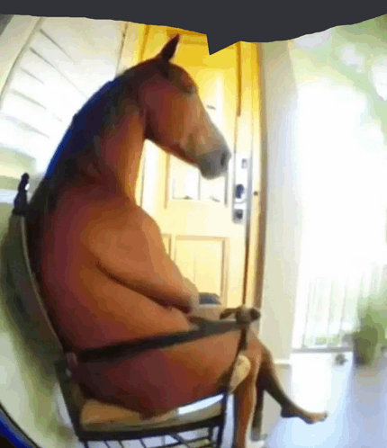 Procura-se cachorro, atende por Leandro tweet media